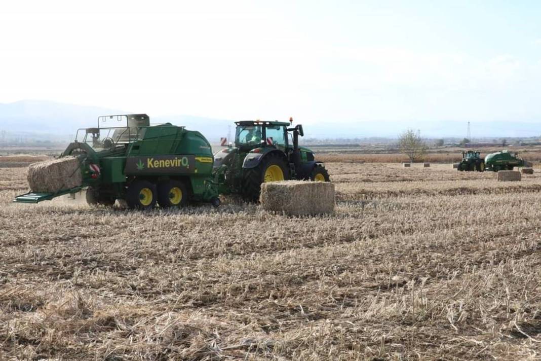 İlk hasat alındı: Kozmetikten tekstile birçok sektörde doping etkisi yapacak! Türkiye'de ilk kez uygulanıyor 14